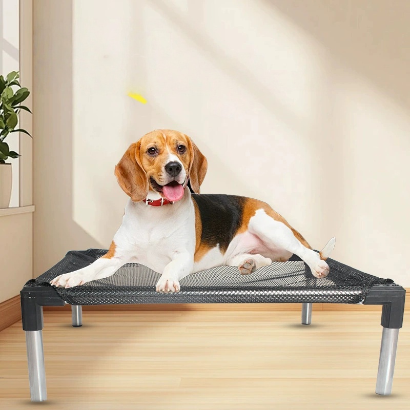 Cooling Elevated Dog Bed - Rai - đánh giá và giá Outdoor Camping Dog Bed