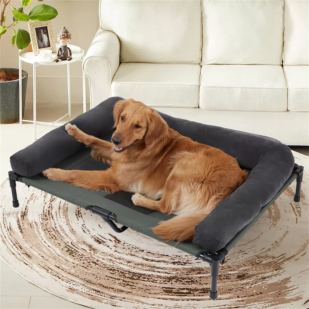 BINGOPAW Elevated Dog Bed Mesh - đánh giá và giá Outdoor Camping Dog Bed
