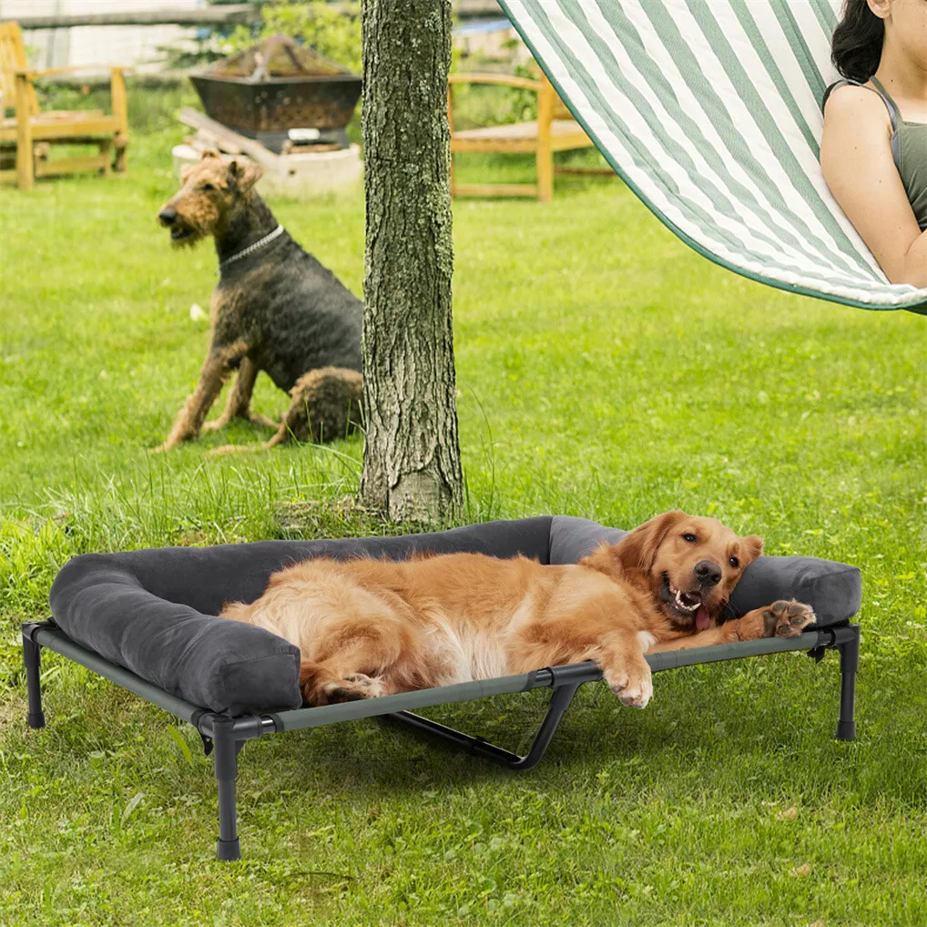 BINGOPAW Elevated Dog Bed Mesh - đánh giá và giá Outdoor Camping Dog Bed