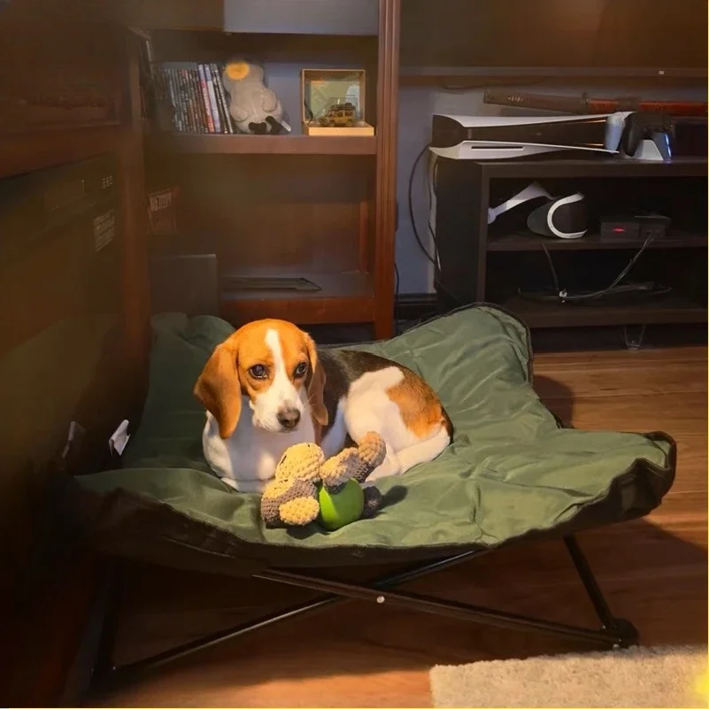 Outdoor Camping Foldable Pet B - đánh giá và giá Outdoor Camping Dog Bed